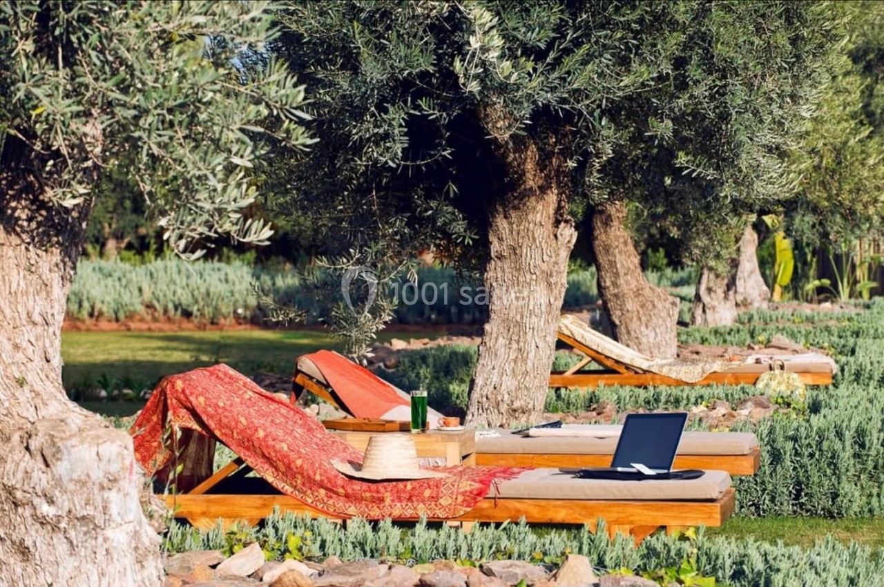 Chaises longues en bois avec coussins et couverture rouge sous des oliviers, un ordinateur portable posé sur l'une d'elles.