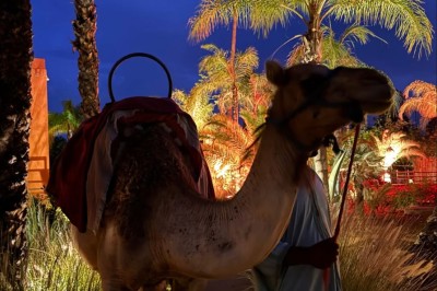 Cloison décorative ajourée en bois sombre devant une baignoire avec robinetterie métallique, lumière naturelle en arrière…