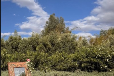 Cloison décorative ajourée en bois sombre devant une baignoire avec robinetterie métallique, lumière naturelle en arrière…