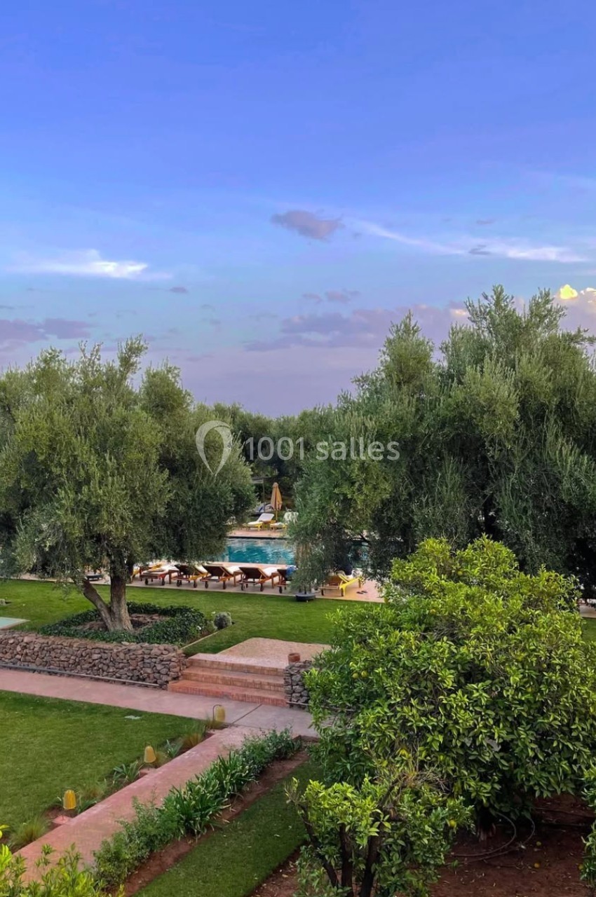 Vue d'un jardin verdoyant avec des oliviers, une piscine entourée de transats et un ciel dégagé en arrière-plan.