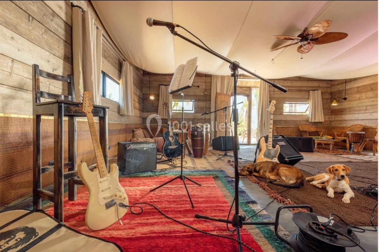 Salle de musique avec guitares, amplificateurs, micro sur pied, tapis colorés et deux chiens allongés au sol.