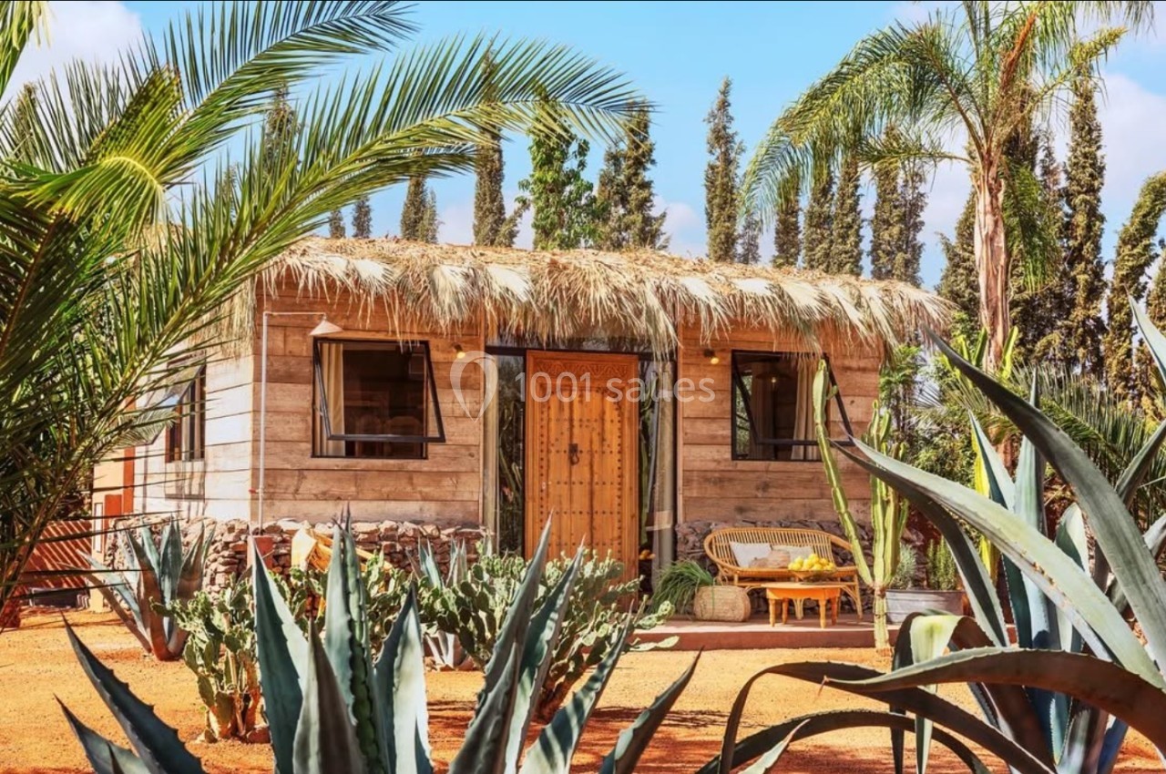 Petite maison en bois avec toit en chaume, entourée de plantes tropicales et de cactus, sous un ciel dégagé.
