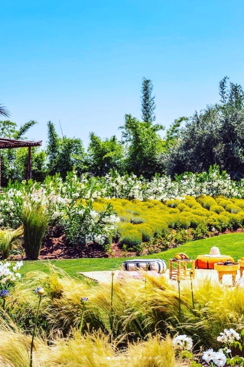 Jardin luxuriant avec plantes colorées, coussins et table basse sur pelouse, sous un ciel bleu clair.