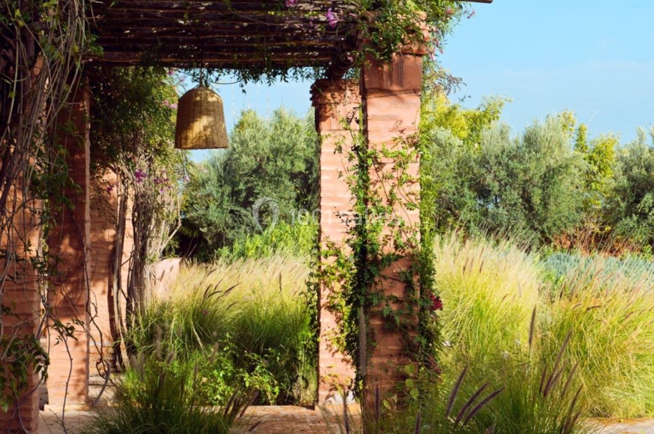 Pergola en briques recouverte de plantes grimpantes, entourée de végétation luxuriante sous un ciel bleu.