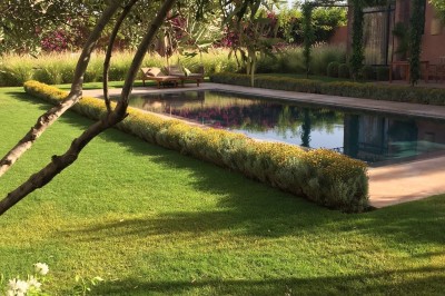 Cloison décorative ajourée en bois sombre devant une baignoire avec robinetterie métallique, lumière naturelle en arrière…