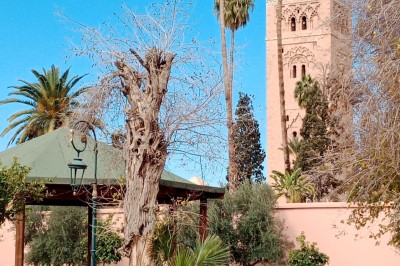 Cloison décorative ajourée en bois sombre devant une baignoire avec robinetterie métallique, lumière naturelle en arrière…