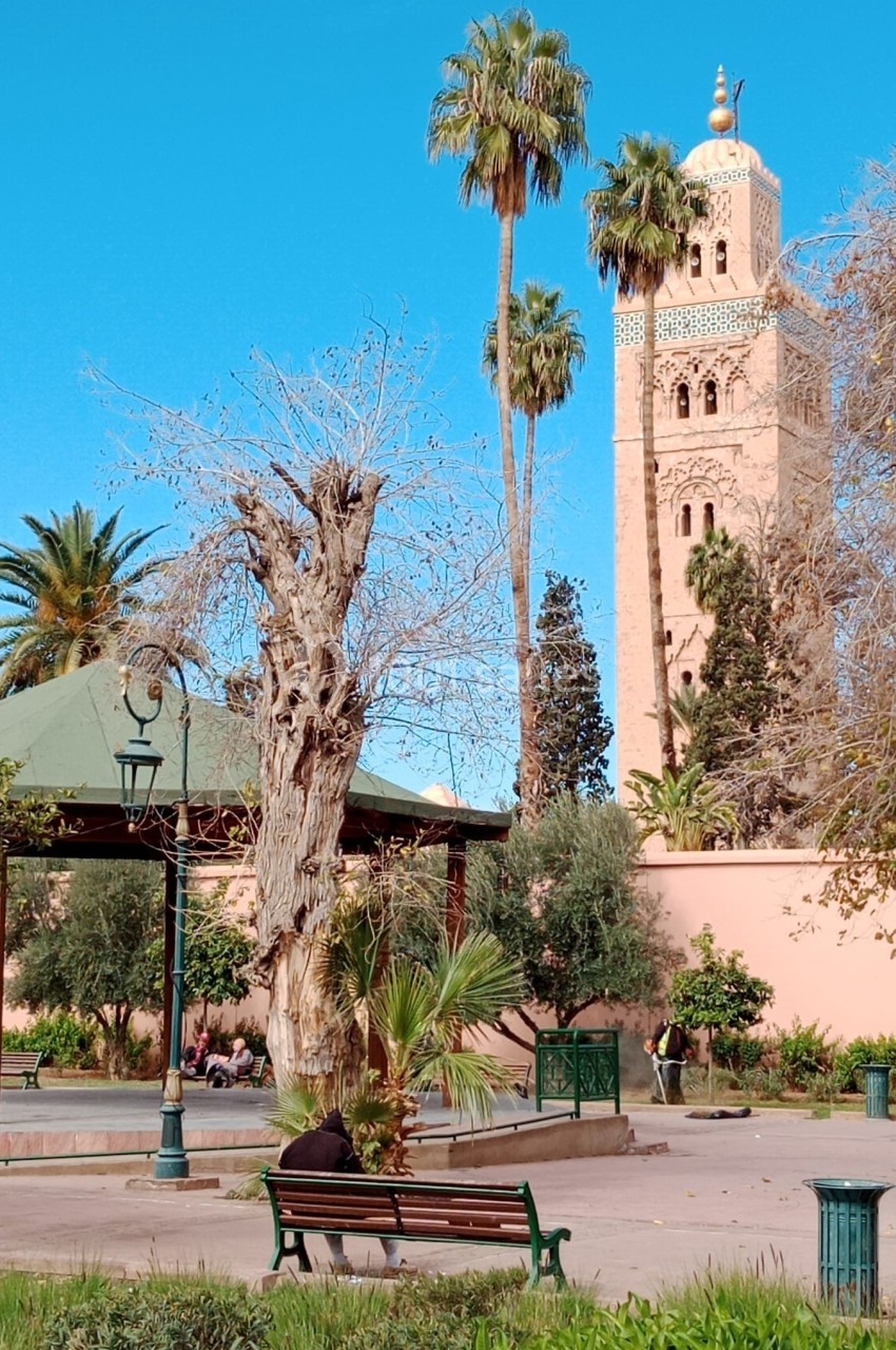Vue d'un jardin avec des palmiers, un kiosque et la tour de la mosquée Koutoubia en arrière-plan sous un ciel bleu.