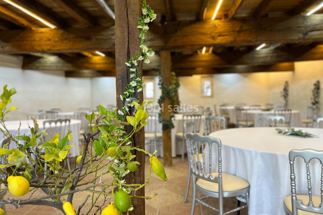 Location salle Issus (Haute-Garonne) - Château d'Issus #46