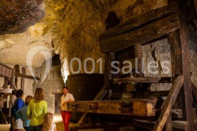 Location salle Bourgueil (Indre-et-Loire) - Cave de la Dive Bouteille #18