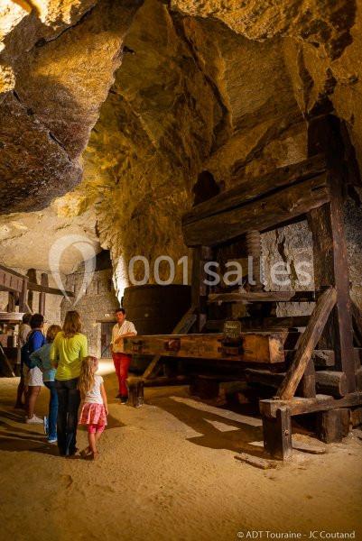 Location salle Bourgueil (Indre-et-Loire) - Cave de la Dive Bouteille #8