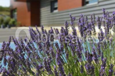 Location salle Vrigny (Marne) - Les Délices D'andré #18