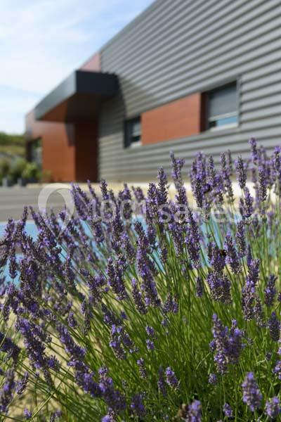 Location salle Vrigny (Marne) - Les Délices D'andré #3
