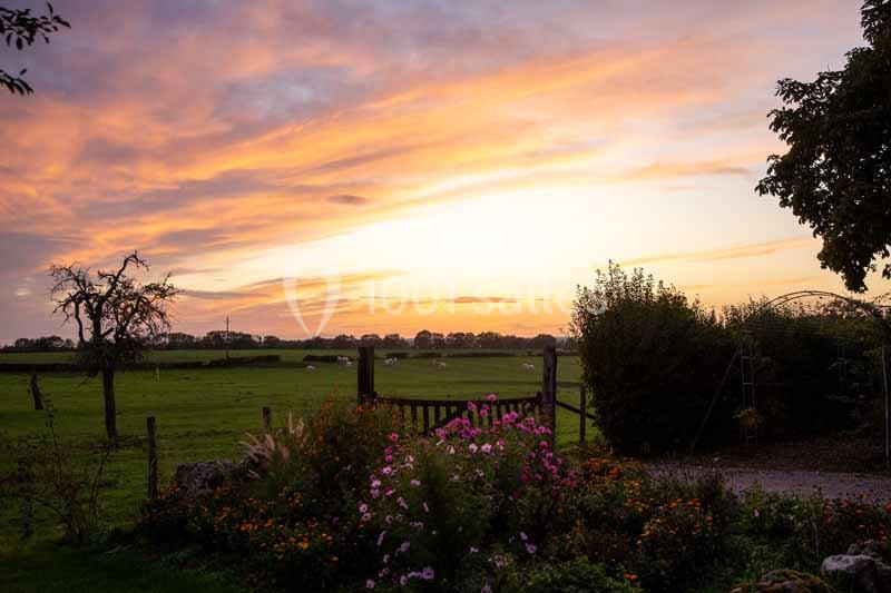 Coucher de soleil sur un jardin fleuri avec une clôture en bois, des arbres et un champ en arrière-plan.