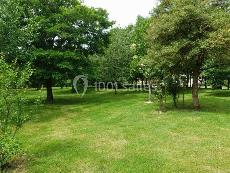 Pelouse verte entourée d'arbres et d'arbustes dans un jardin par une journée ensoleillée.