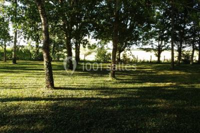 Tables décorées pour un événement avec chandeliers, compositions florales suspendues et lumière tamisée.