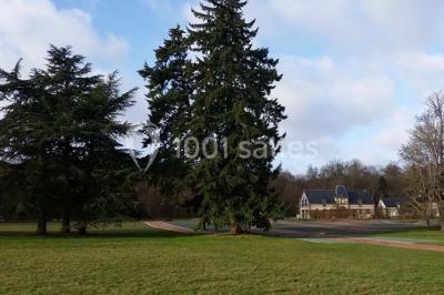 Chambre lumineuse avec lit double, draps bleus, moustiquaire suspendue et éclairage doux.