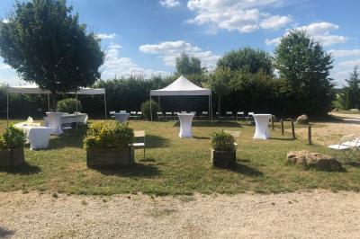 Table de candy bar décorée avec des bonbons variés, lanternes suspendues et éclairage violet en arrière-plan.