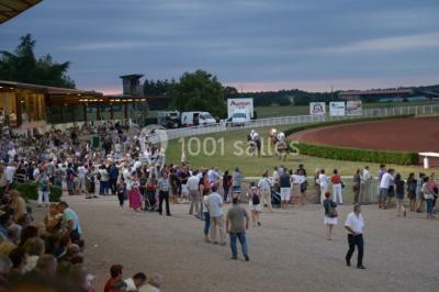 Location salle Saint-Galmier (Loire) - Hippodrome de Saint-Galmier-Saint-Etienne #24