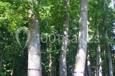 Location salle Melun (Seine-et-Marne) - Le Grand Monarque #16