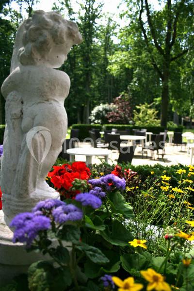 Location salle Melun (Seine-et-Marne) - Le Grand Monarque #12