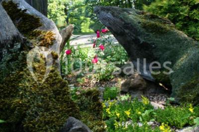 Location salle Melun (Seine-et-Marne) - Le Grand Monarque #16