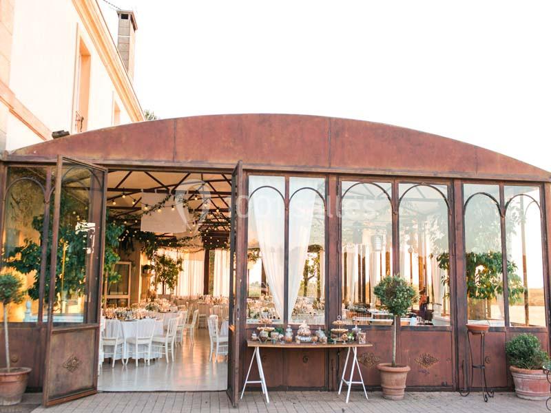 Verrière élégante avec tables dressées à l'intérieur, entourée de plantes en pots et baignée de lumière naturelle.