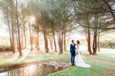 Vue d'une terrasse avec parasols et piscine, encadrée par des haies sombres et un ciel dégagé en arrière-plan.