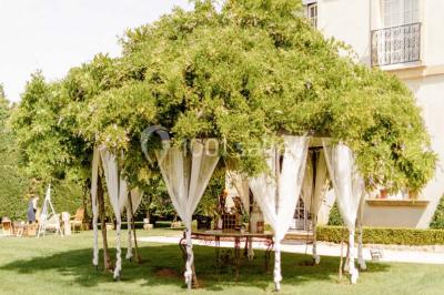 Vue d'une terrasse avec parasols et piscine, encadrée par des haies sombres et un ciel dégagé en arrière-plan.