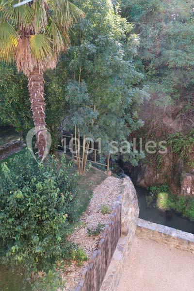 Vue d'un jardin avec un palmier, des arbres, un chemin gravillonné et un petit cours d'eau bordé de végétation.