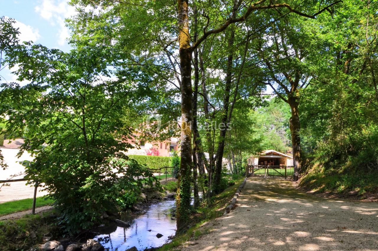 Sentier ombragé bordé d'arbres et d'un ruisseau, menant à une petite cabane en bois dans un cadre naturel.