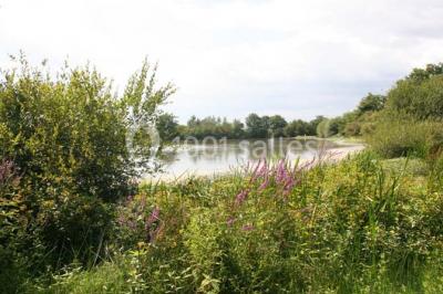 Location salle Gourgé (Deux-Sèvres) - Domaine de la Barre #24