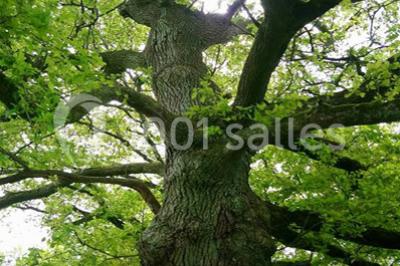 Location salle Gourgé (Deux-Sèvres) - Domaine de la Barre #24