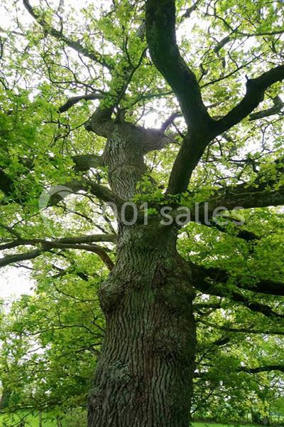 Location salle Gourgé (Deux-Sèvres) - Domaine de la Barre #23