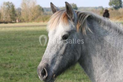 Location salle Gourgé (Deux-Sèvres) - Domaine de la Barre #24