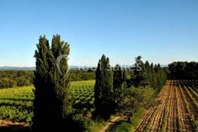 Location salle Draguignan (Var) - Le Mas Des Vignes #22