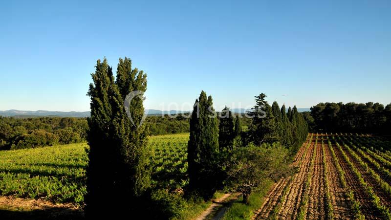 Location salle Draguignan (Var) - Le Mas Des Vignes #12