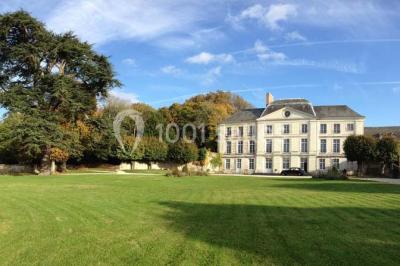 Écran de projection blanc déroulé dans une salle de conférence avec murs en bois et plafond équipé d'un projecteur.
