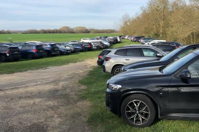 Écran de projection blanc déroulé dans une salle de conférence avec murs en bois et plafond équipé d'un projecteur.
