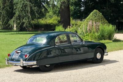 Écran de projection blanc déroulé dans une salle de conférence avec murs en bois et plafond équipé d'un projecteur.