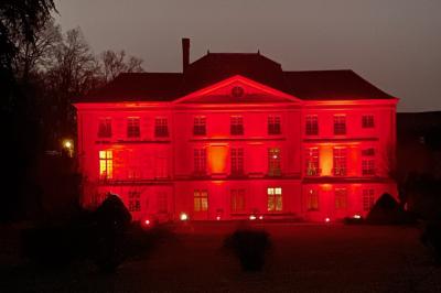 Écran de projection blanc déroulé dans une salle de conférence avec murs en bois et plafond équipé d'un projecteur.
