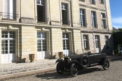 Écran de projection blanc déroulé dans une salle de conférence avec murs en bois et plafond équipé d'un projecteur.