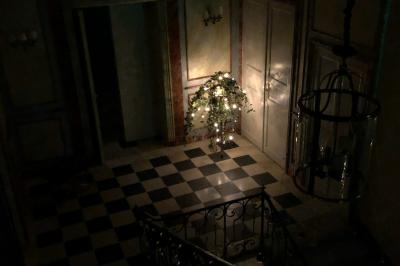 Écran de projection blanc déroulé dans une salle de conférence avec murs en bois et plafond équipé d'un projecteur.