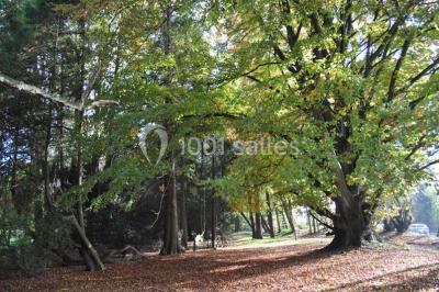 Miniature Location salle Quaëdypre (Nord) - L'ermitage Du Bois Joli #18 Location salle Quaëdypre (Nord) - L'ermitage Du Bois Joli #24