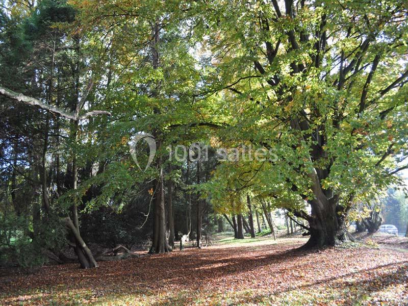 Location salle Quaëdypre (Nord) - L'ermitage Du Bois Joli #18