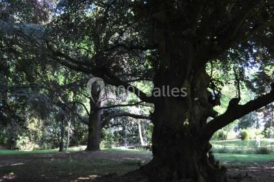 Miniature Location salle Quaëdypre (Nord) - L'ermitage Du Bois Joli #22 Location salle Quaëdypre (Nord) - L'ermitage Du Bois Joli #24