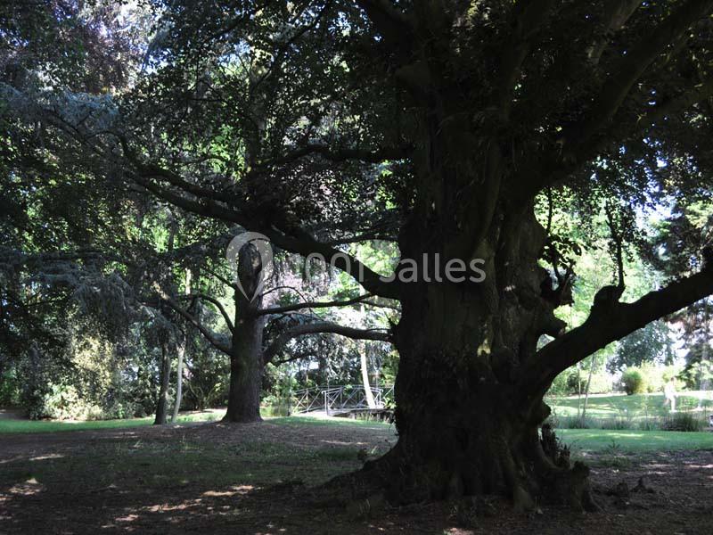 Location salle Quaëdypre (Nord) - L'ermitage Du Bois Joli #22