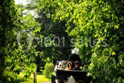 Miniature Location salle Quaëdypre (Nord) - L'ermitage Du Bois Joli #17 Location salle Quaëdypre (Nord) - L'ermitage Du Bois Joli #24