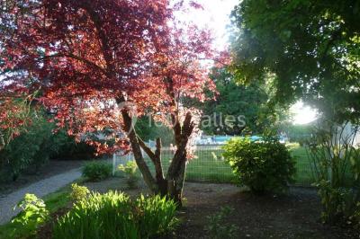 Location salle Arzens (Aude) - Domaine de la Rousselle #24