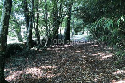 Location salle Landévant (Morbihan) - Château de Lannouan #26