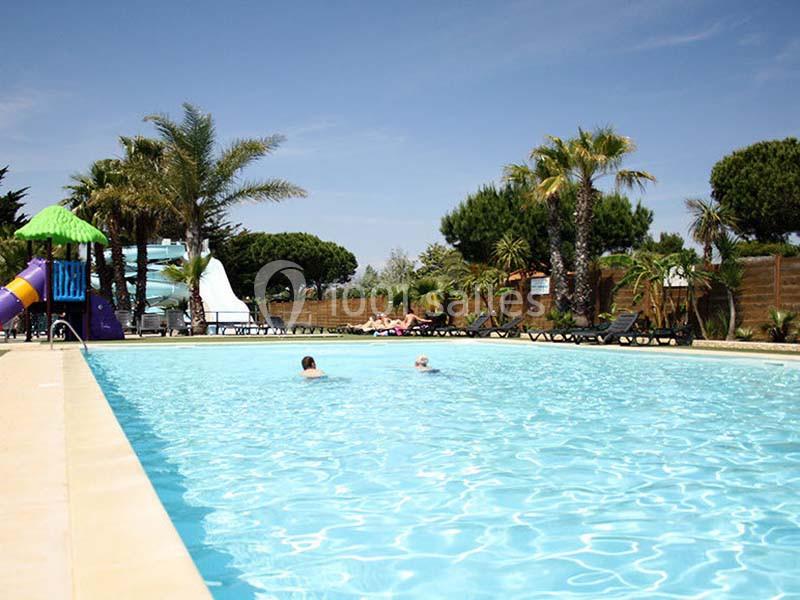 Piscine extérieure entourée de palmiers avec des transats et un toboggan en arrière-plan sous un ciel dégagé.